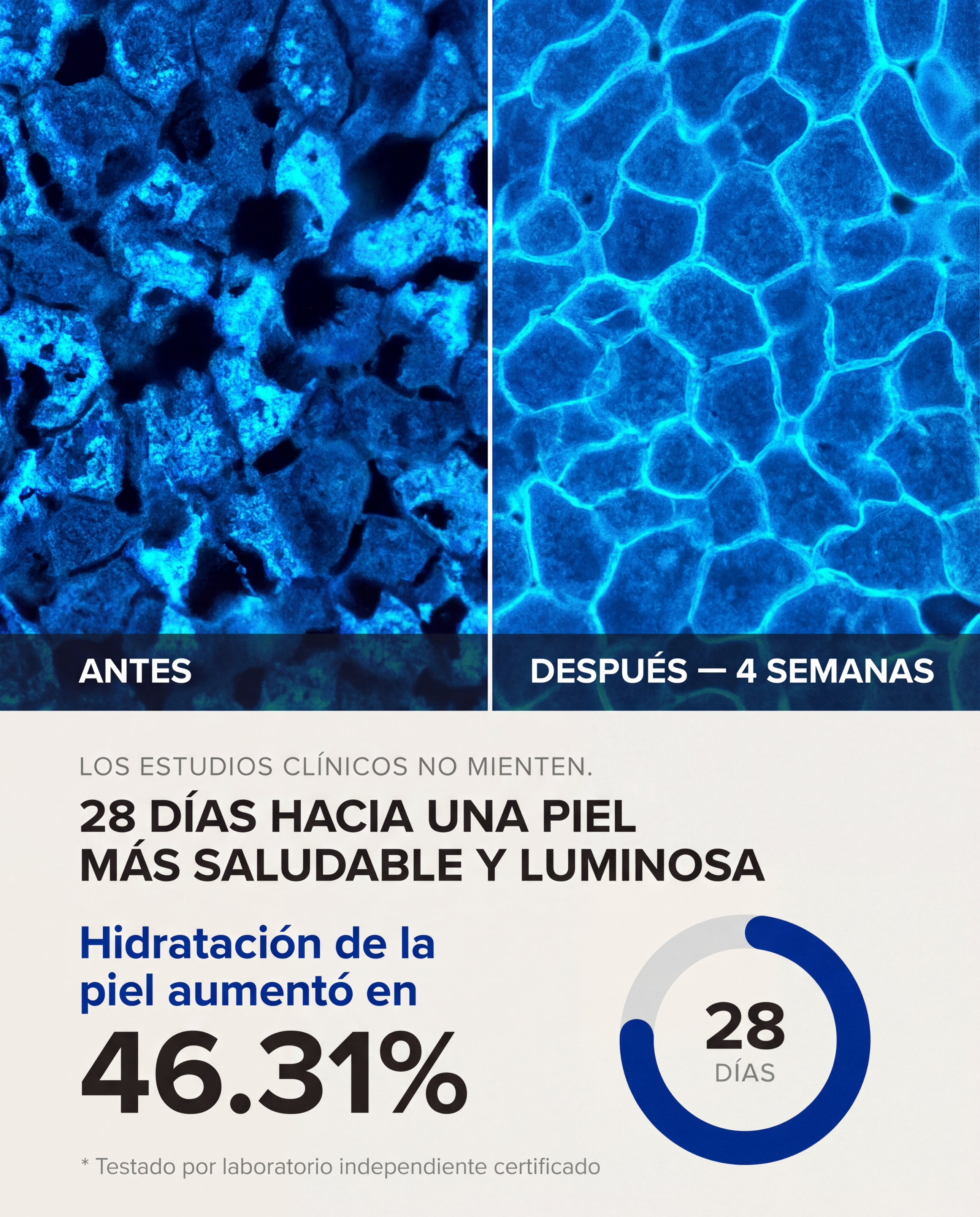 Celuflex H Serum